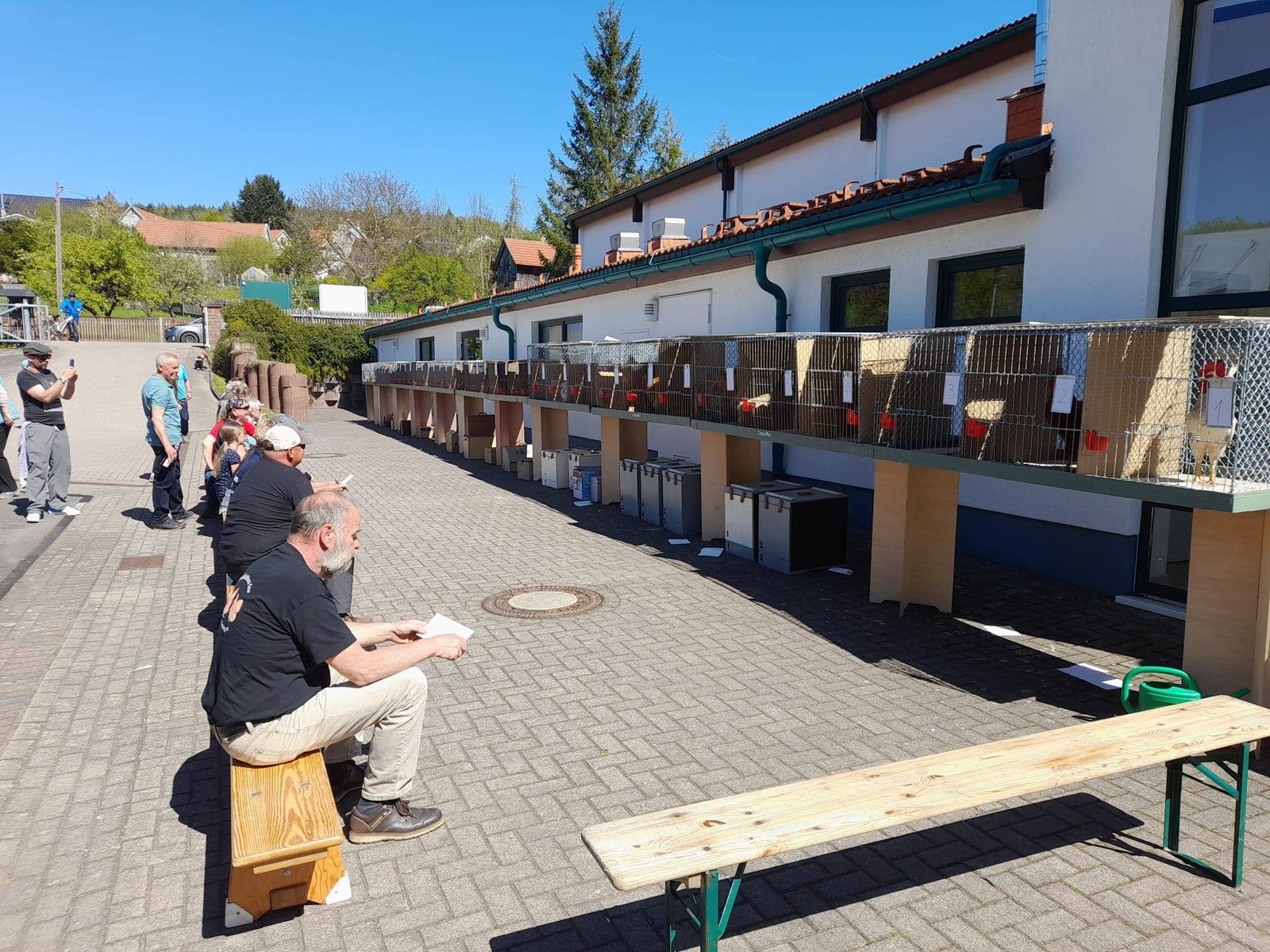 Zuschauer vor der Käfigreihe beim Hähnekrähen