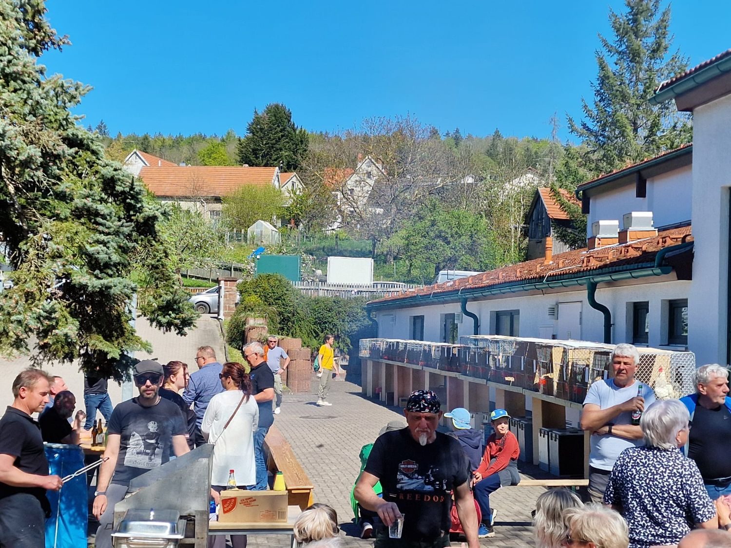 Blick über den Festplatz auf die Käfigreihe