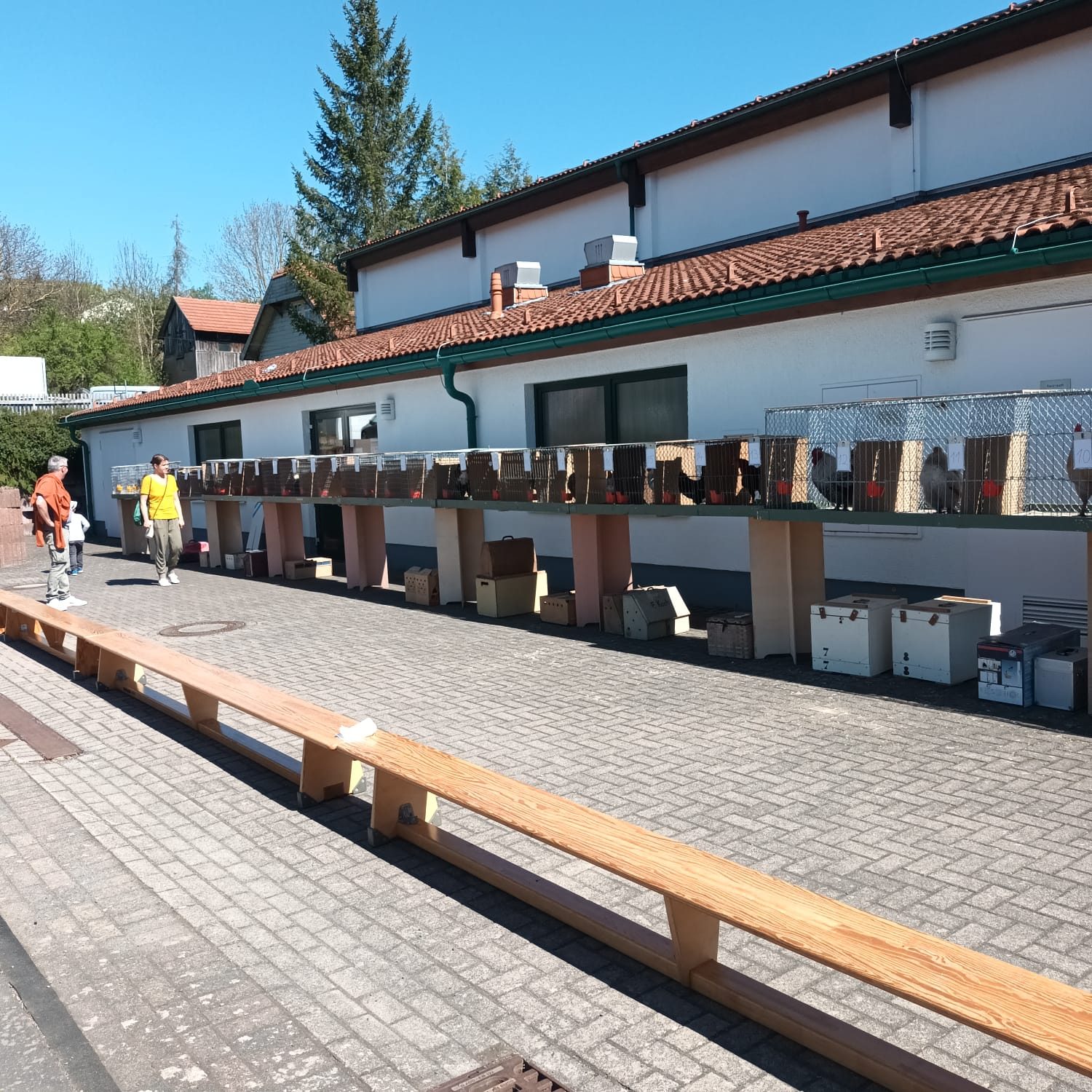 Käfigreihe mit Hähnen entlang der Halle